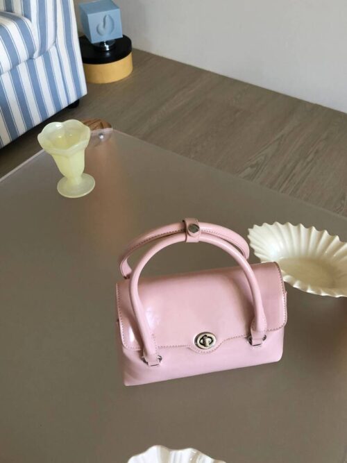 AB31 盧森堡的法式柔粉皮革經典小包